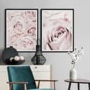 Poster 1X Studio - Rosa