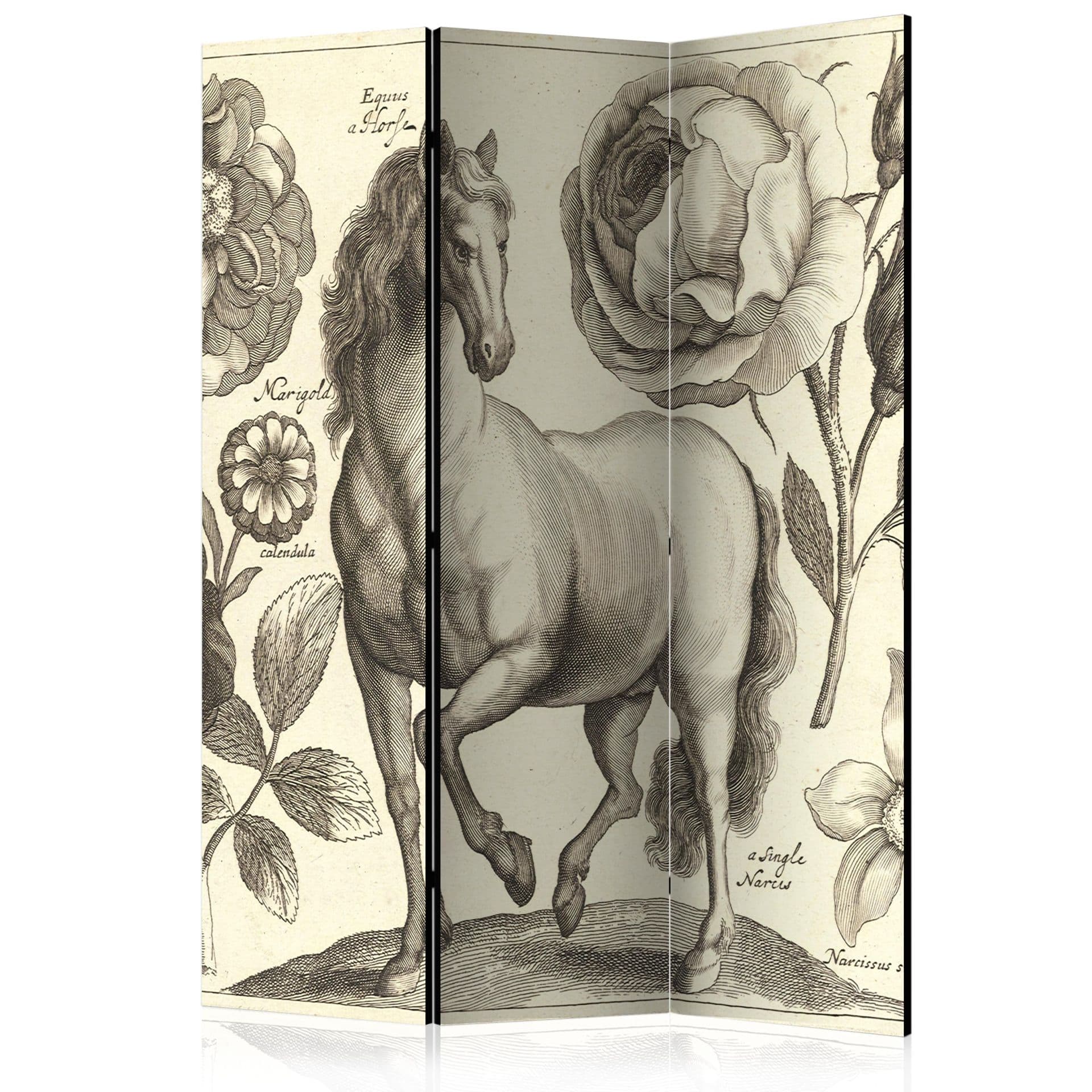 Schermo divisorio - Cavallo, 3 pezzi - 135x172 cm
