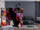 Schermo divisorio - Colori estivi, 5 pezzi - 225x172 cm