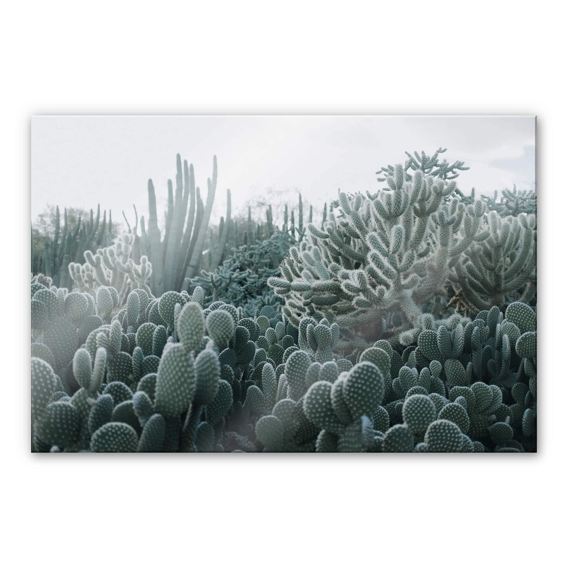 Stampa su vetro acrilico per cactus da quadro