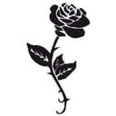 Adesivo murale - Rose