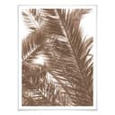 Poster - Palme