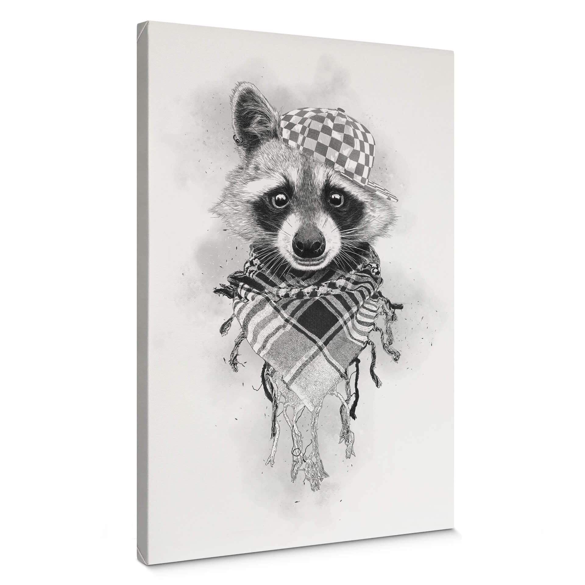 Stampa su tela Kools - Rocco Raccoon