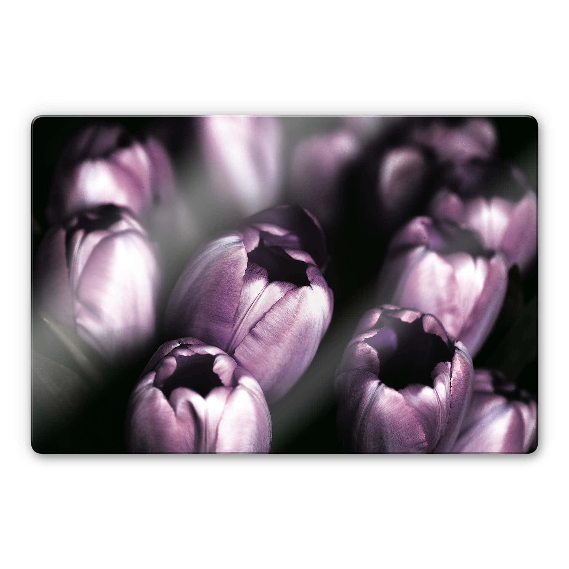 Glasbild Tulips