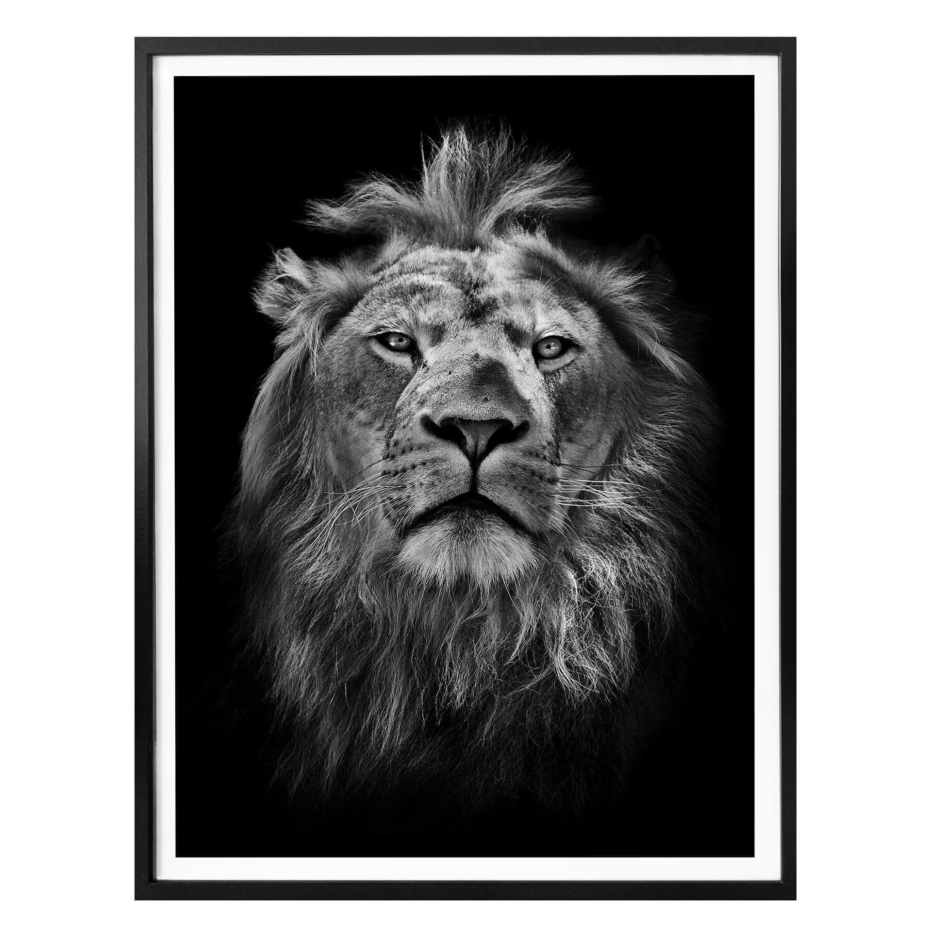 Poster - Leone