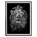 Poster - Leone