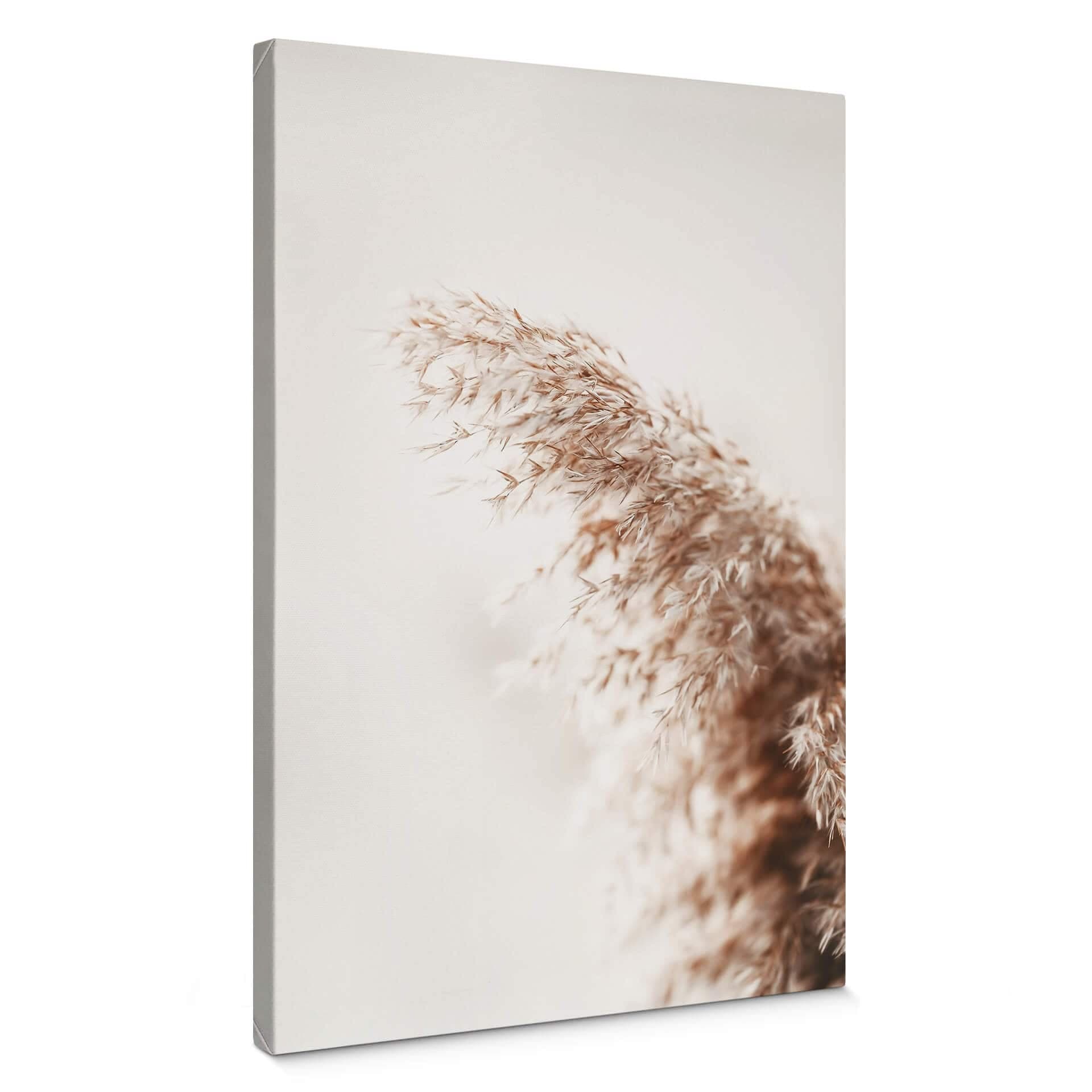 Stampa su tela - Pampas grass