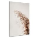 Stampa su tela - Pampas grass