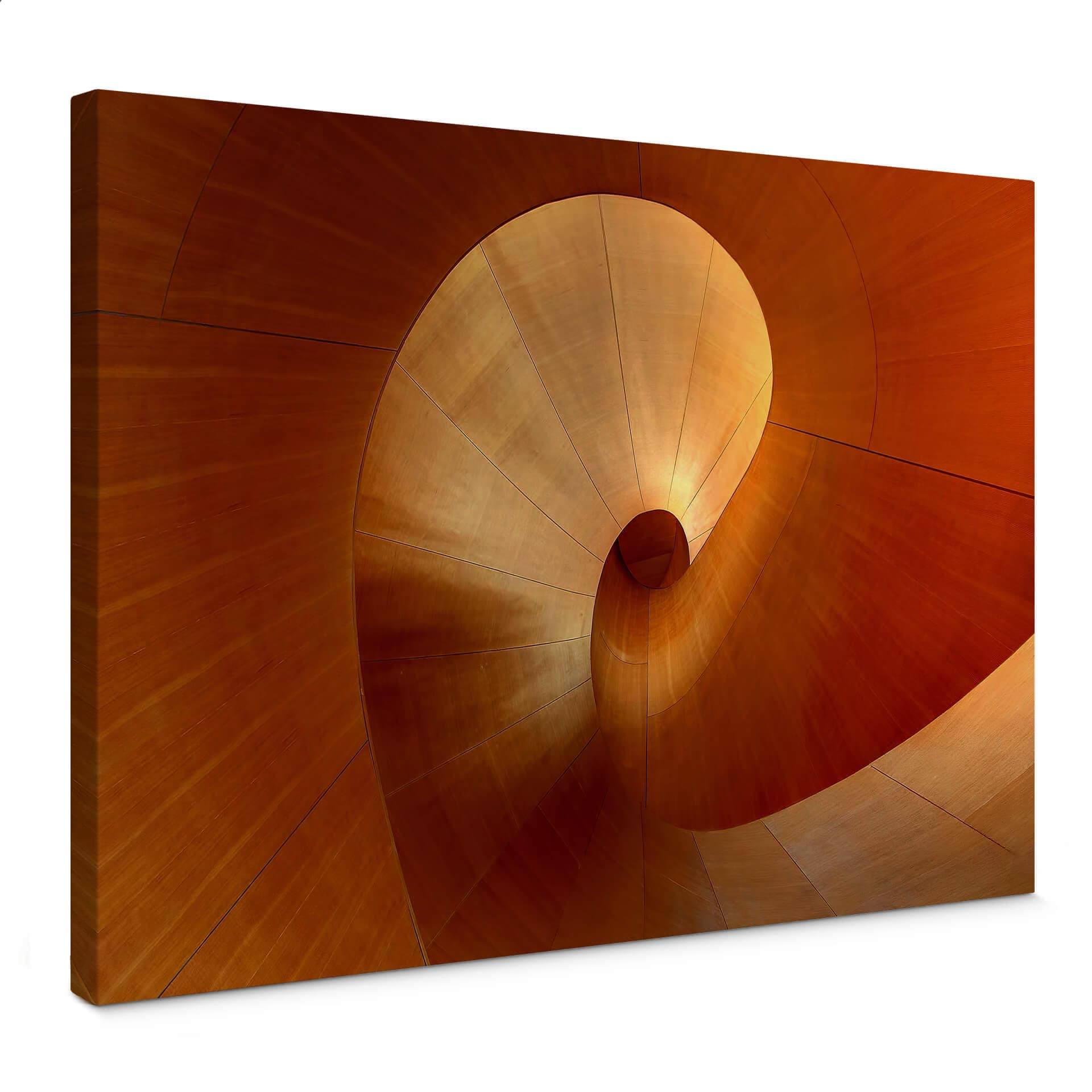 Stampa su tela Shainidze - Curve