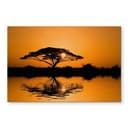 Pannello paraschizzi - Africa