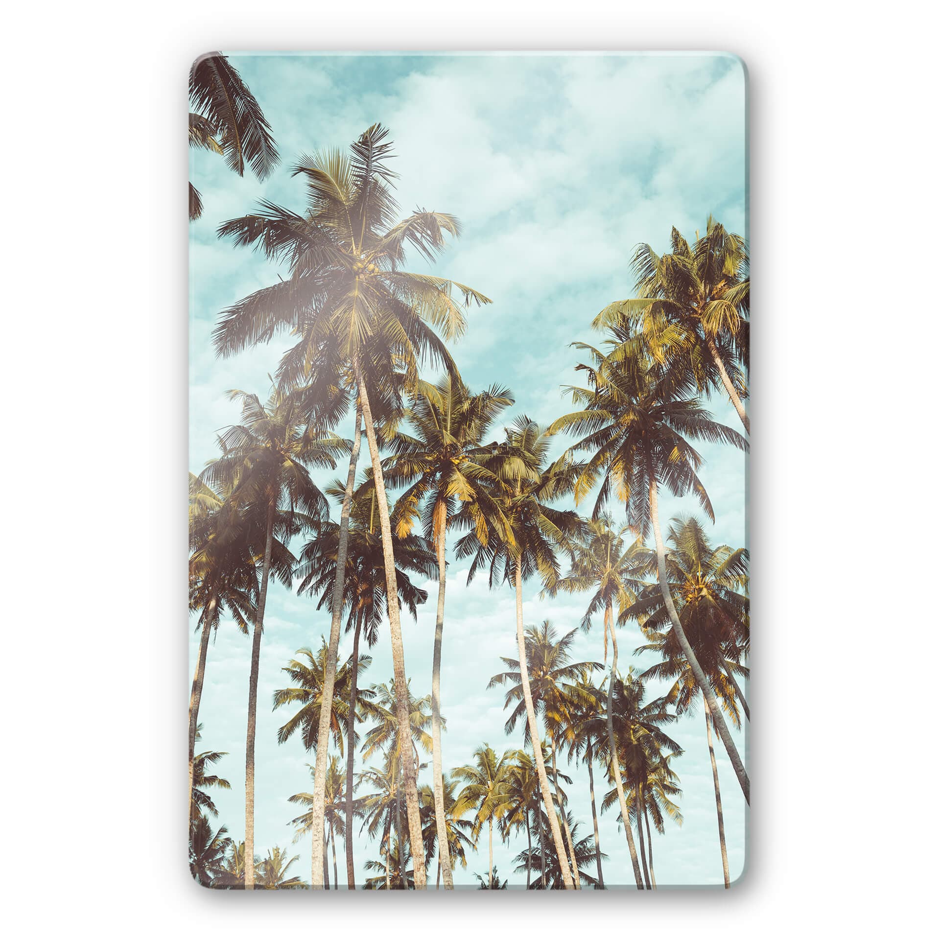 Glasbild Palmen 08