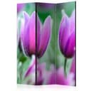 Divisorio - Tulipani primaverili viola, 3 pezzi