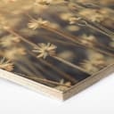 Esagoni legno Mexican Daisy