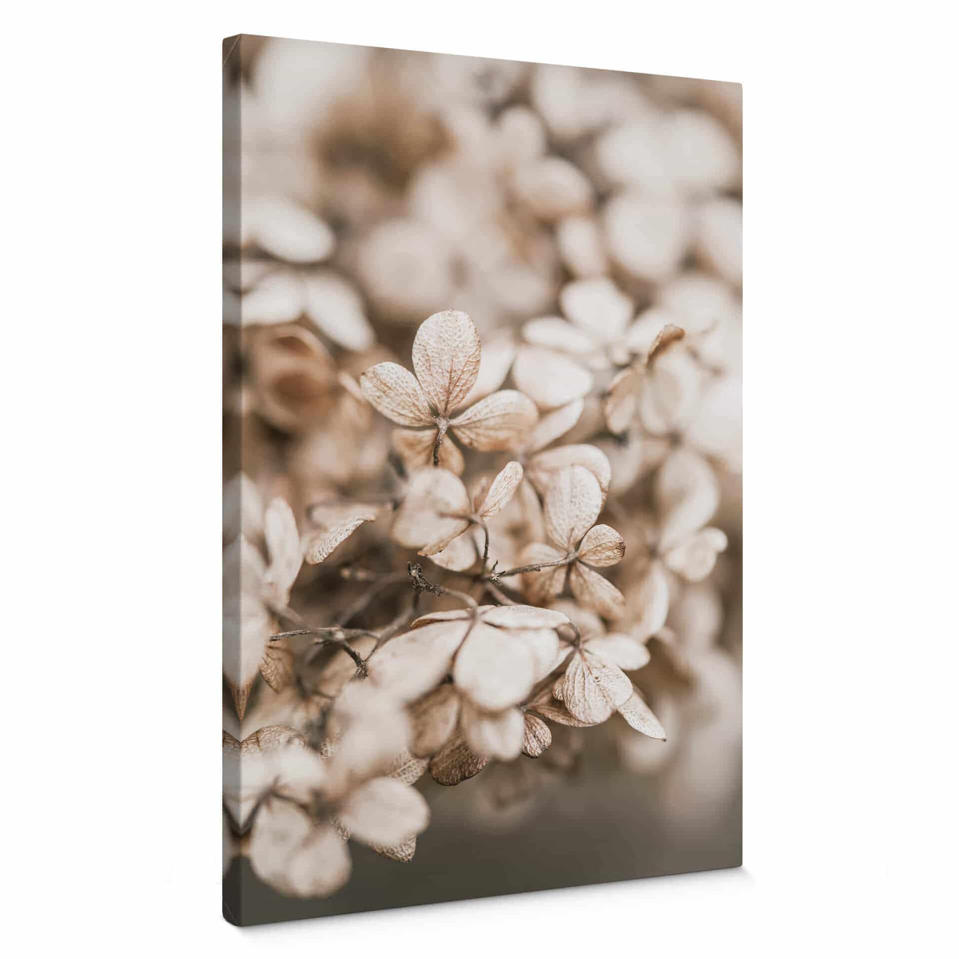 Stampa su tela Annie - Fiori di velluto