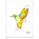 Poster Buttafly - Colibrì