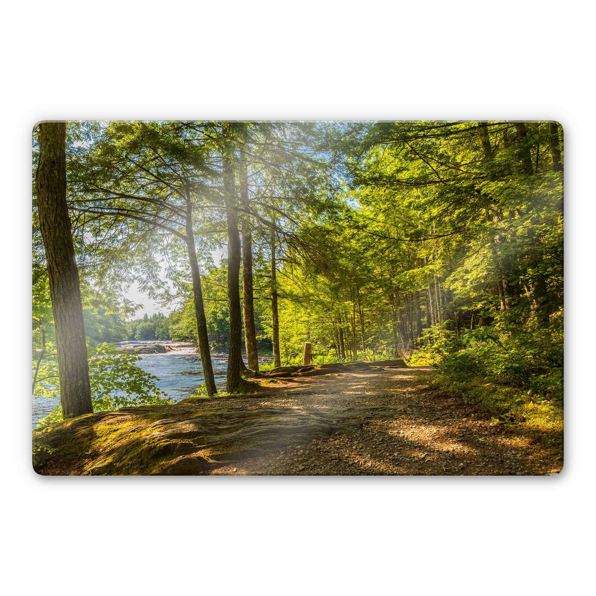 Glasbild Waldweg am Fluss