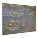 Monet - Ninfee 1905
