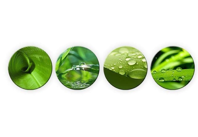 Natura - composizione in quattro parti tonde