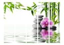 Schermo divisorio - Giardino acquatico, 3 pezzi