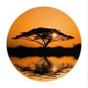 Poster Africa - Rotonda