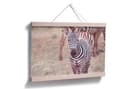 Poster - Cucciolo di zebra