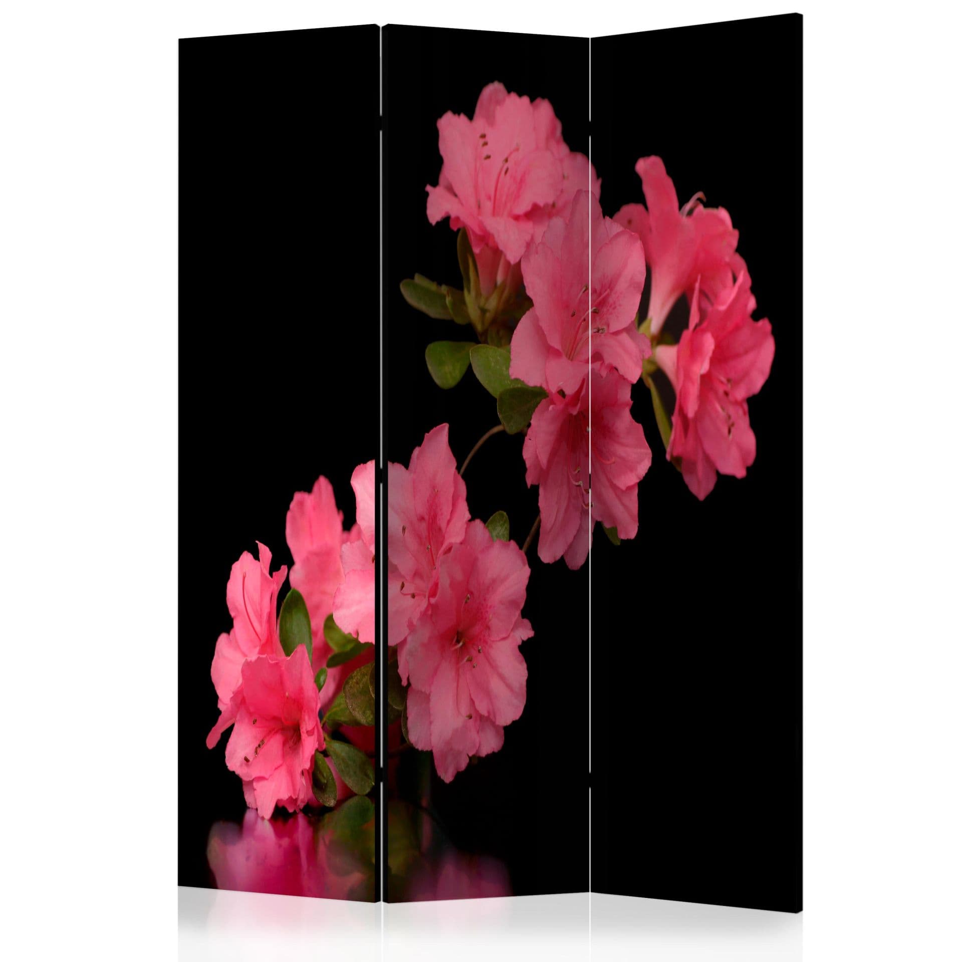 Schermo divisorio - Azalea nera, 3 pezzi