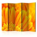 Divisorio - Gerbera gialla, 3 pezzi