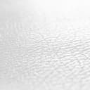 Architects Paper - carta da parati in TNT verniciabile Pigment Classic colore bianco