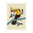 Poster Braun - Tucano