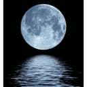 Fotomurale Luna - 240x260 cm