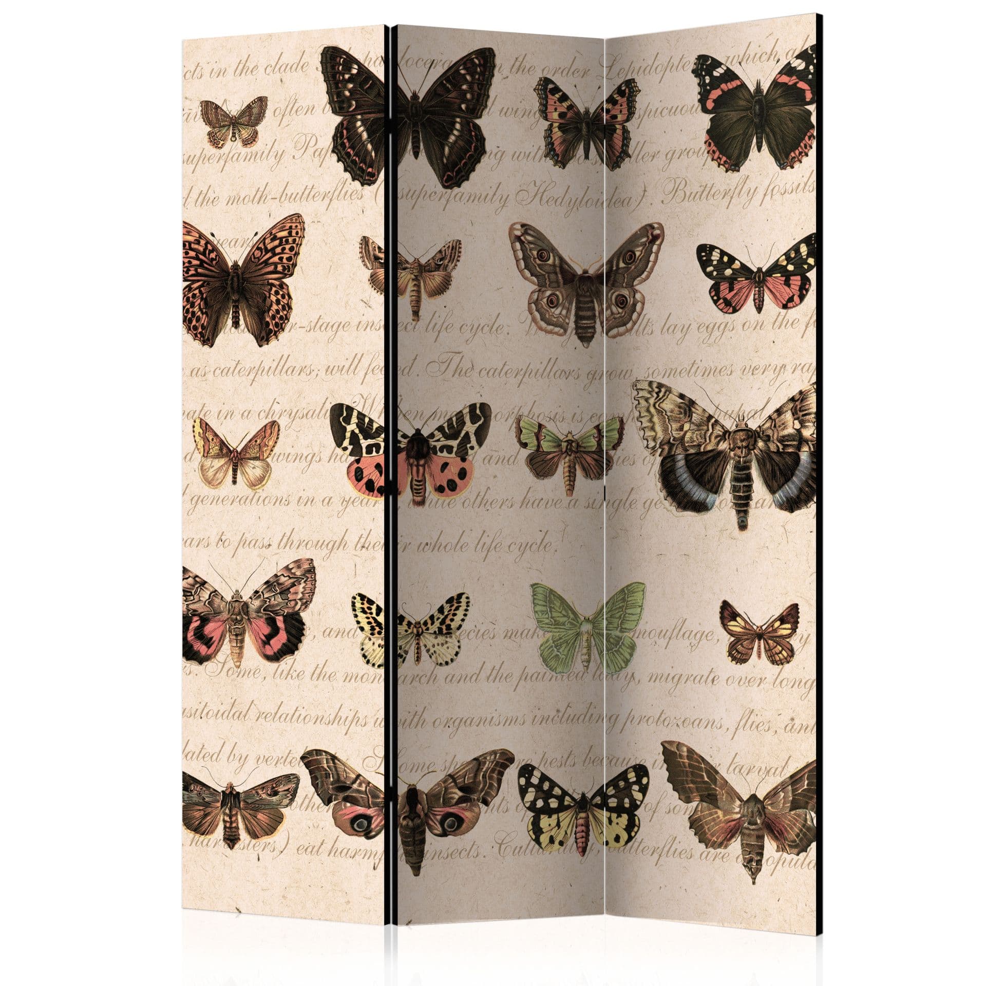 Divisorio per sala - Stile retrò - Farfalle, 3 pezzi