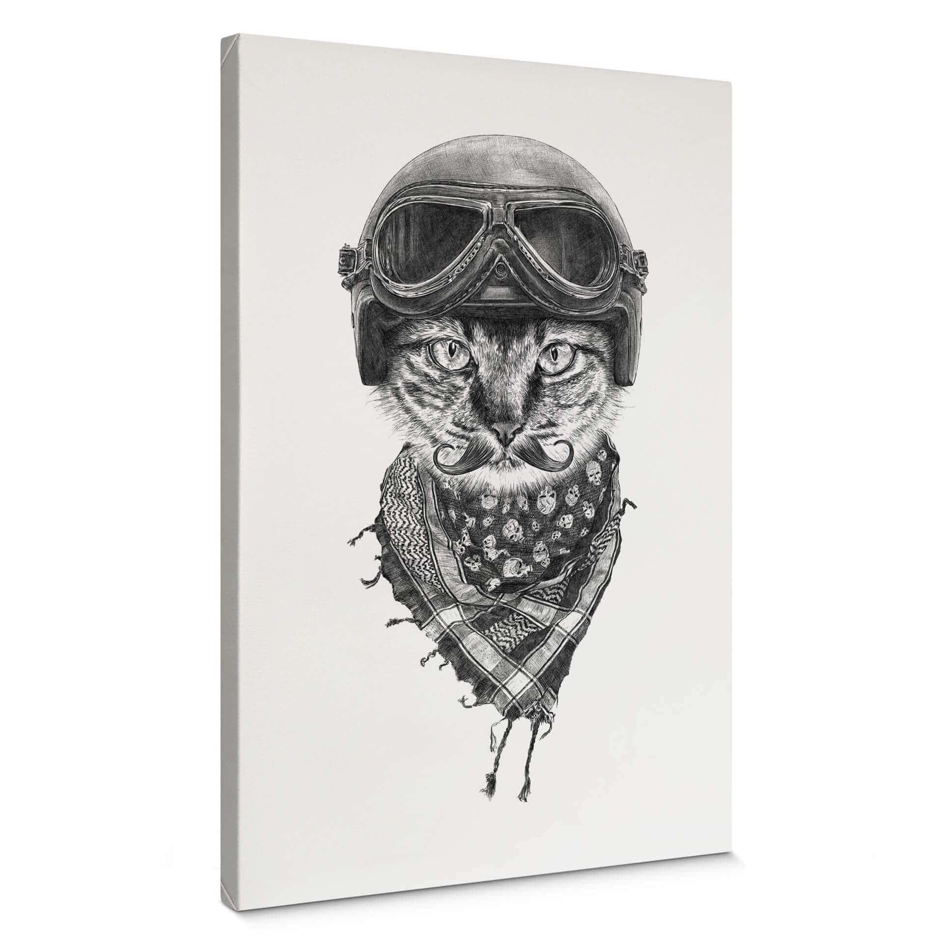 Stampa su tela Kools - Biker Cat