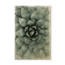 Stampa su legno Agave 02