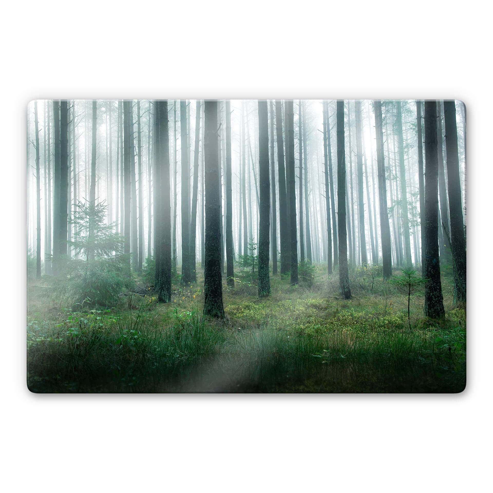 Stampa su vetro Lindsten - Nella foresta