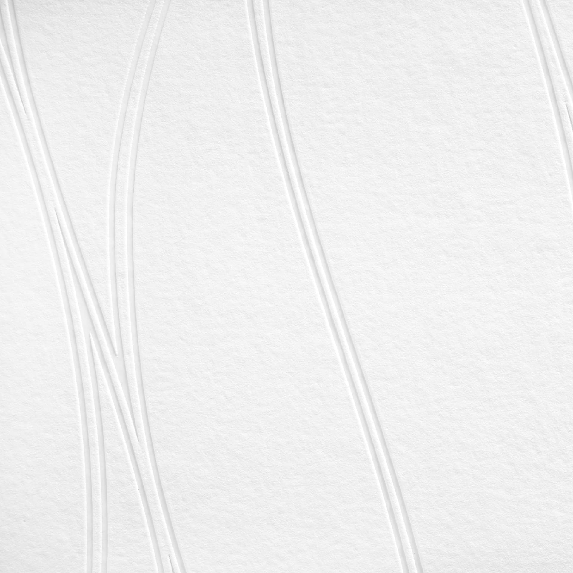 A.S. Création - carta da parati in TNT verniciabile Meistervlies Pro Protect 2 colore bianco