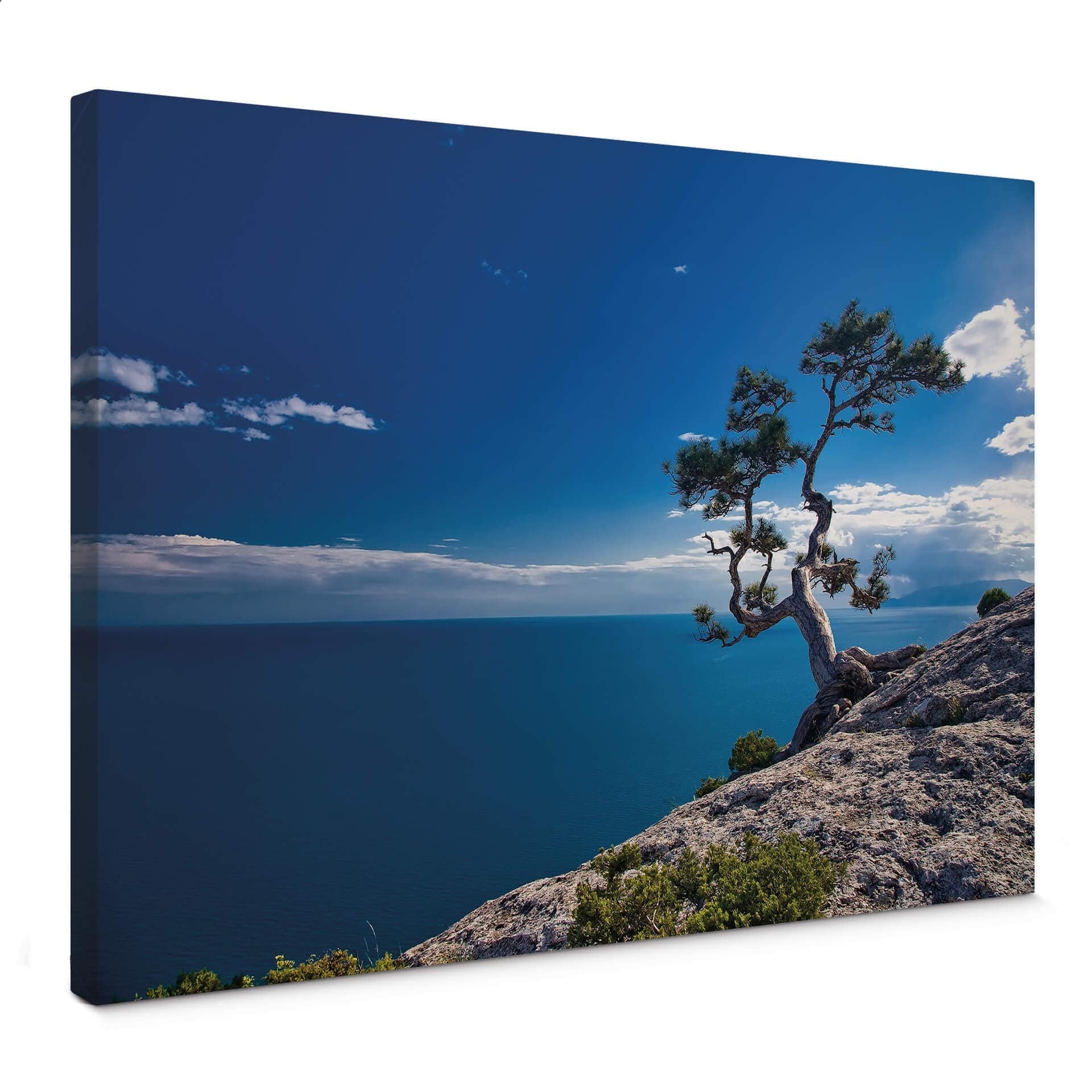 Stampa su tela Paesaggio lacustre - Albero e mare