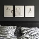 Poster - Piume