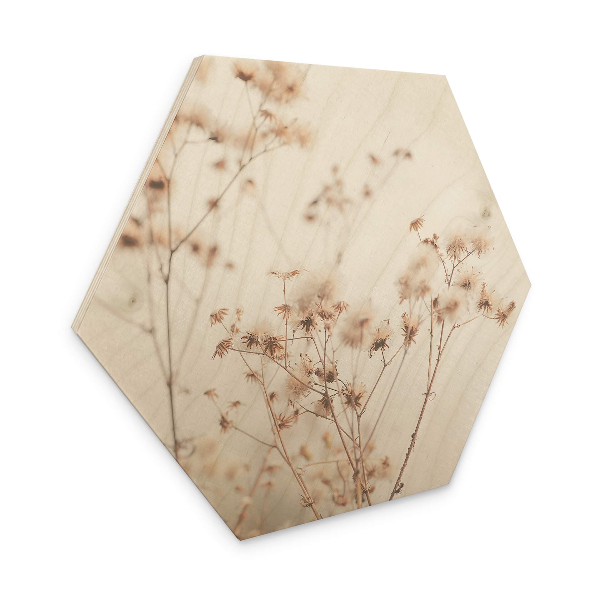 Esagono in legno Colori pastello