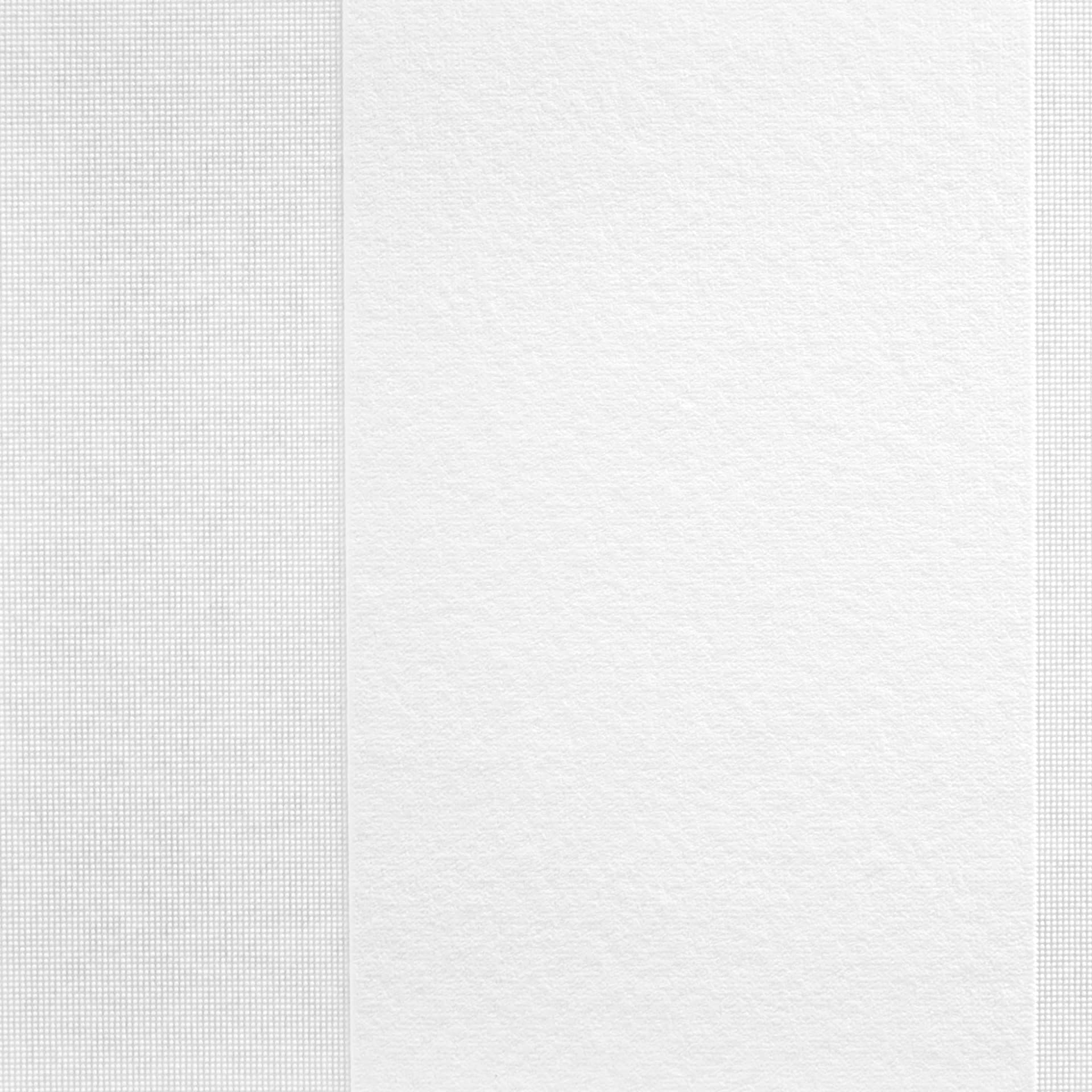 A.S. Création - carta da parati in TNT verniciabile Meistervlies Pro Protect 2 colore bianco