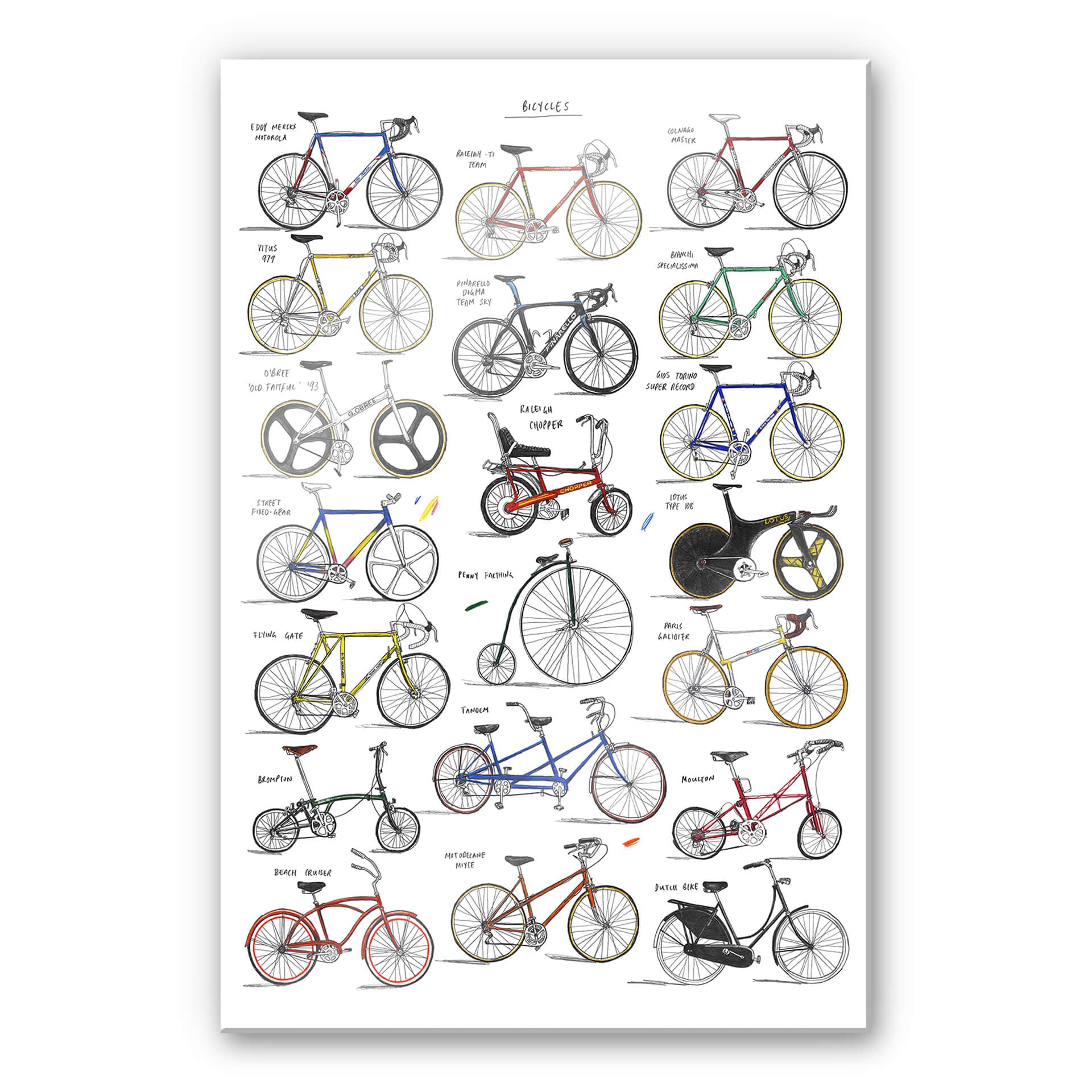 Stampa su vetro acrilico Sparshott - Biciclette