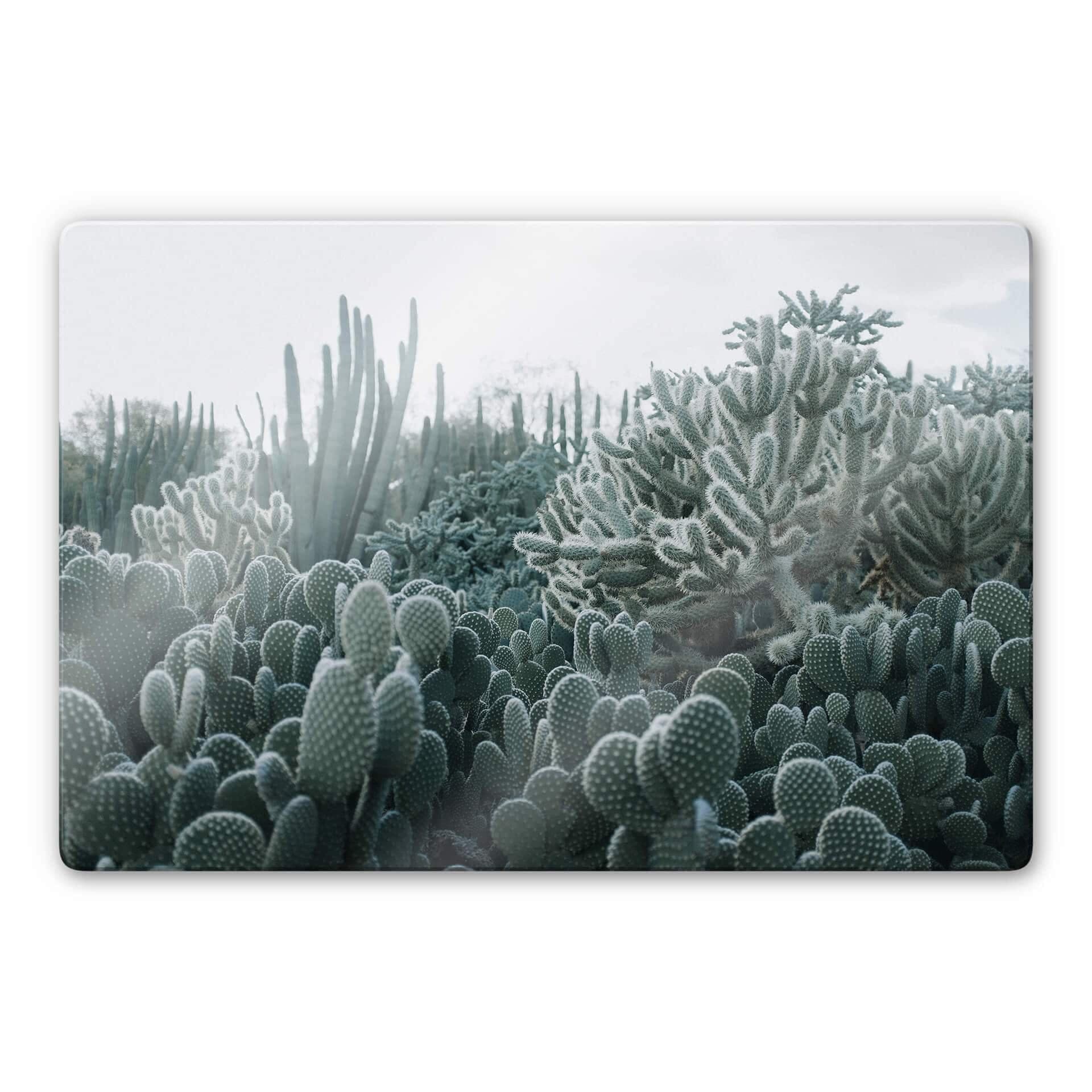 Glasbild  Kakteen
