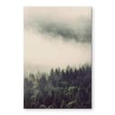 Stampa su vetro - Nebbia nella foresta 02