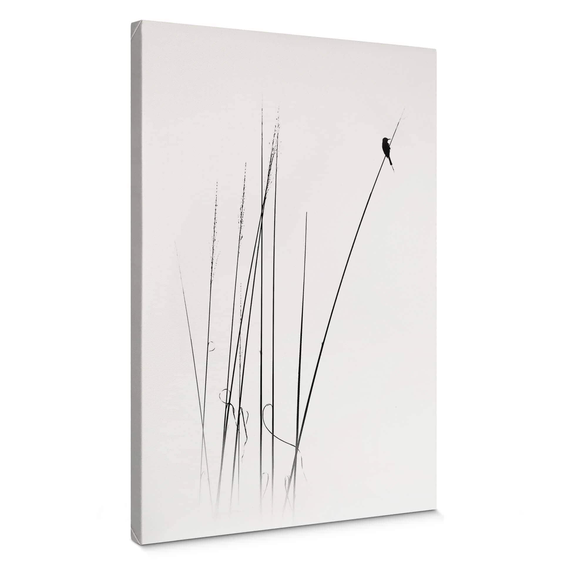 Stampa su tela Swapnil - Time out