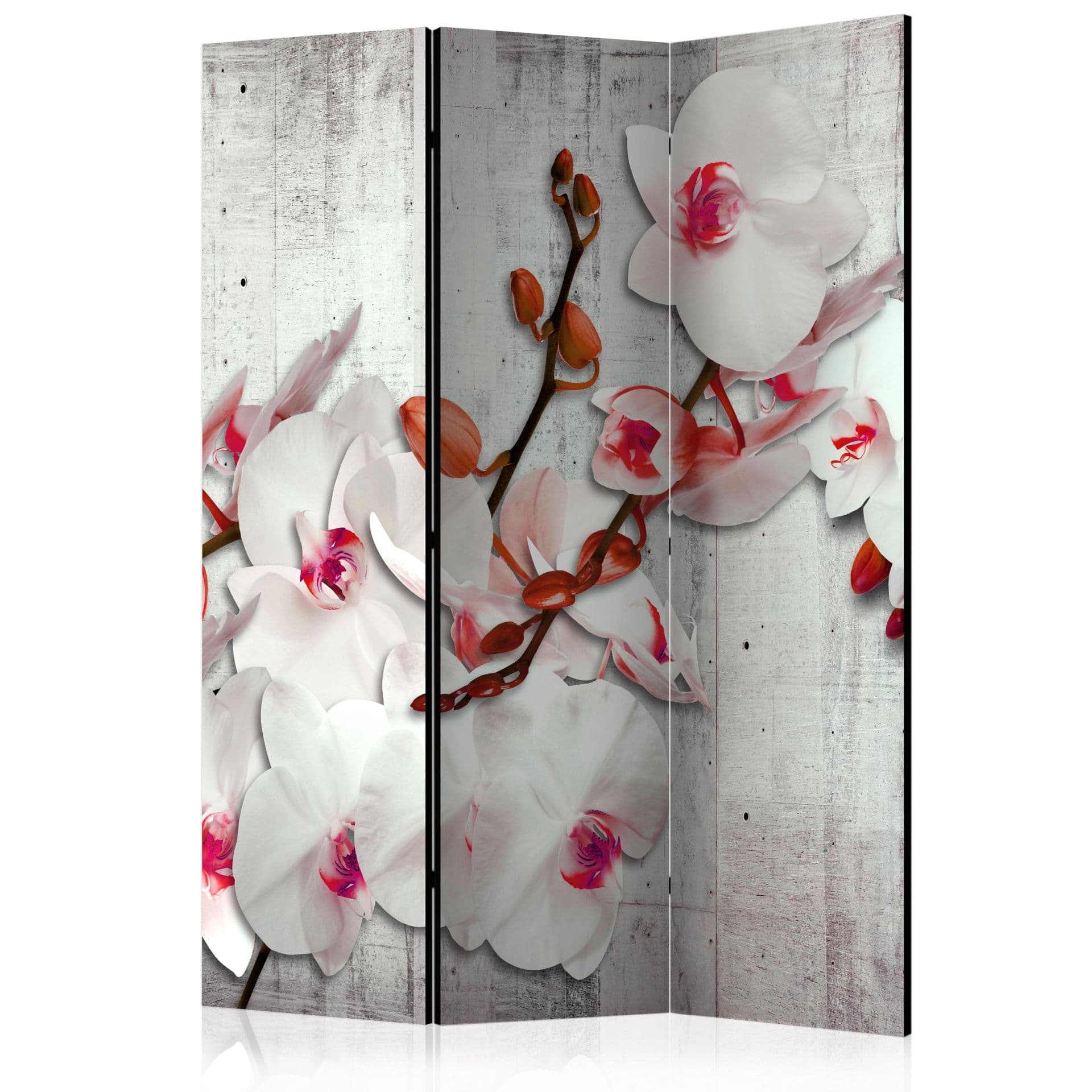 Schermo divisorio - Orchidea di cemento, 3 pezzi - 135x172 cm
