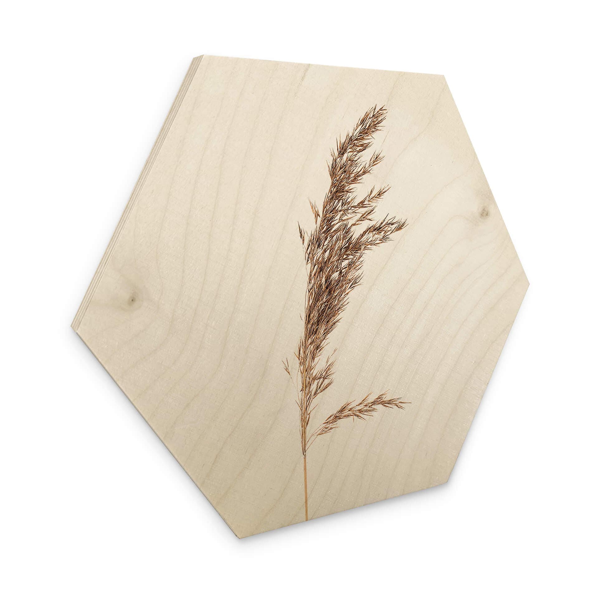 Esagono in legno Erba ornamentale No. 3