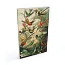 Stampa su legno Haeckel - Colibrì