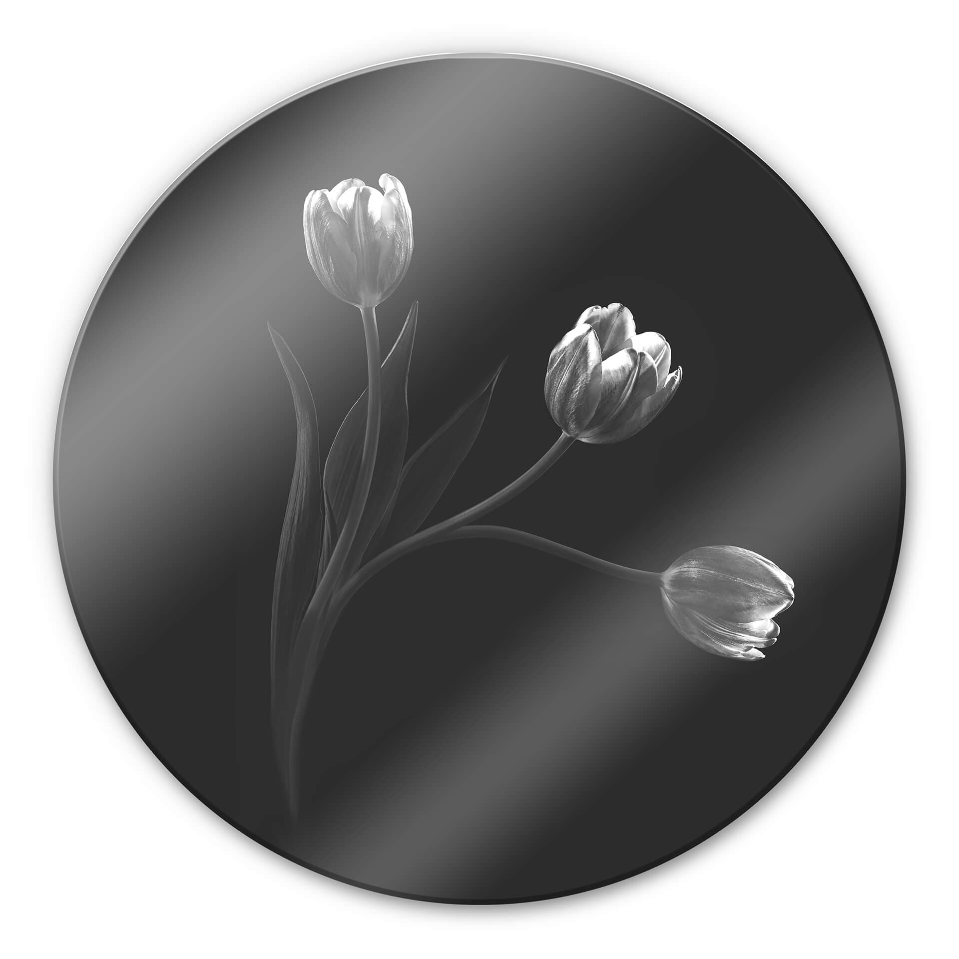 Stampa su vetro Pan - Tulipani