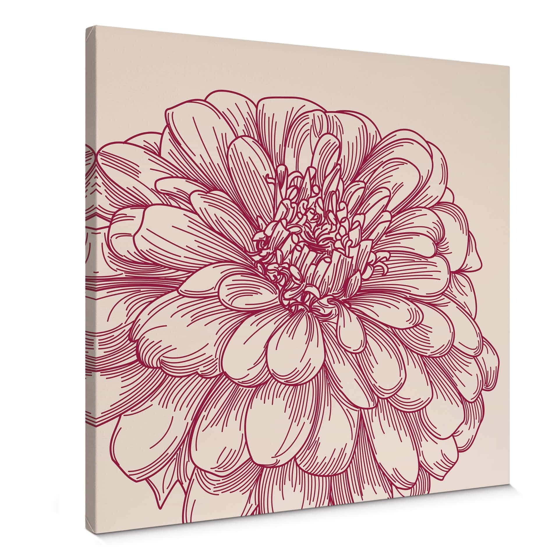 Illustrazione floreale