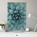 Stampa murale Agave 02