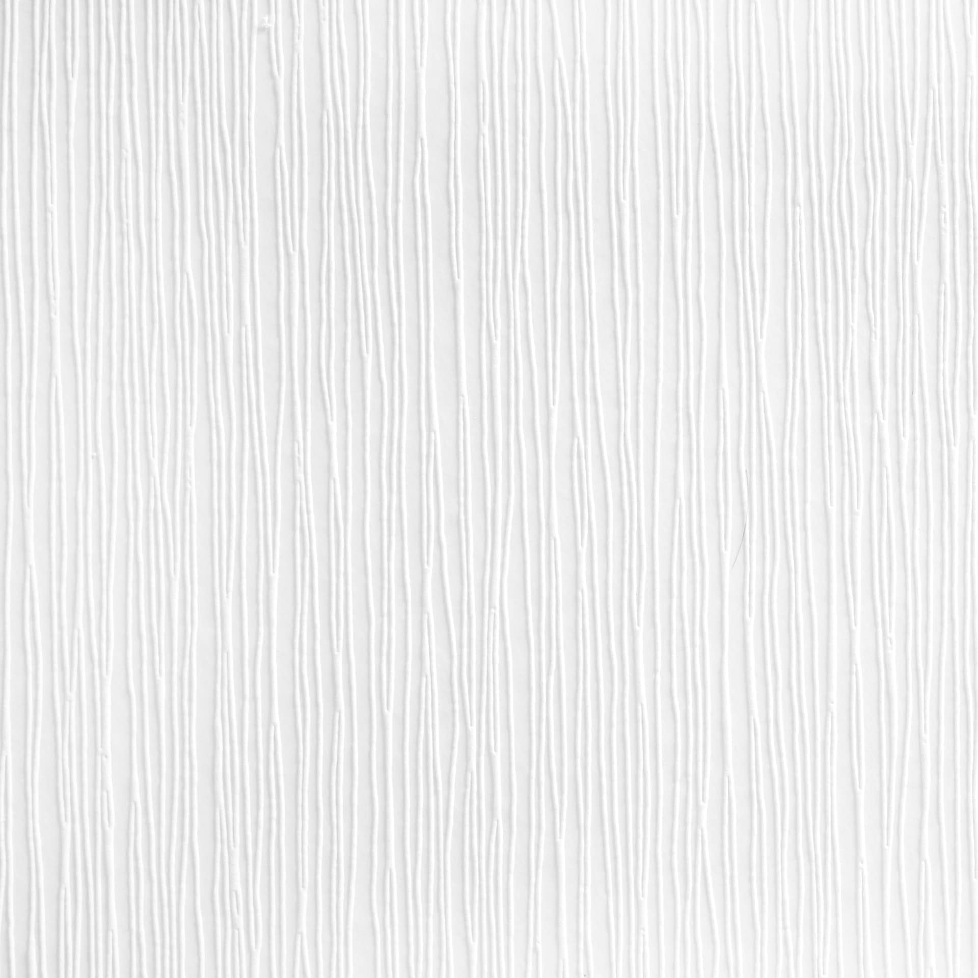 A.S. Création - carta da parati in TNT verniciabile Meistervlies Pro Protect 2 colore bianco